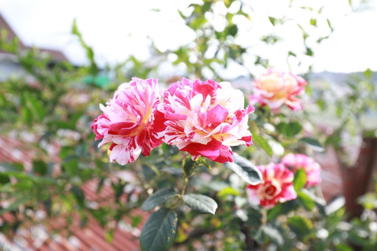 Homestay Doc Tinh Dalat Exteriör bild